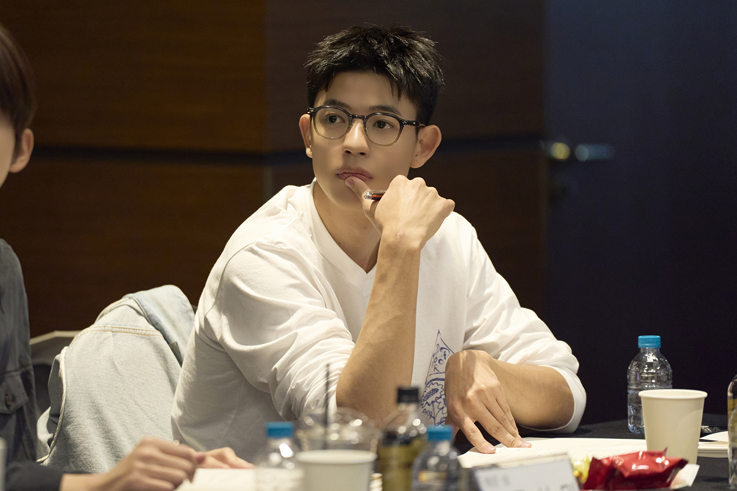 netflix beauty in the beast